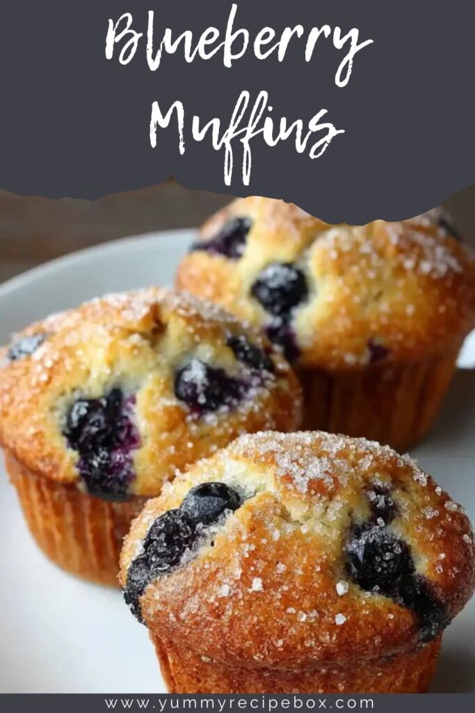 Blueberry Muffins 