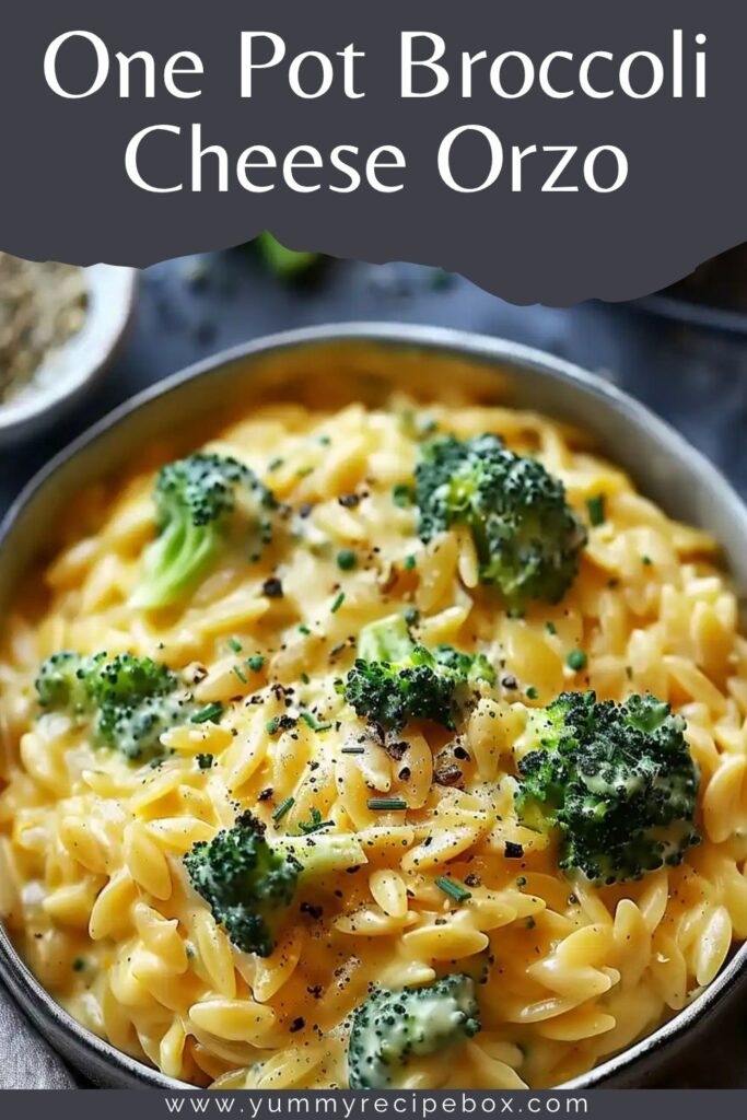 One Pot Broccoli Cheese Orzo