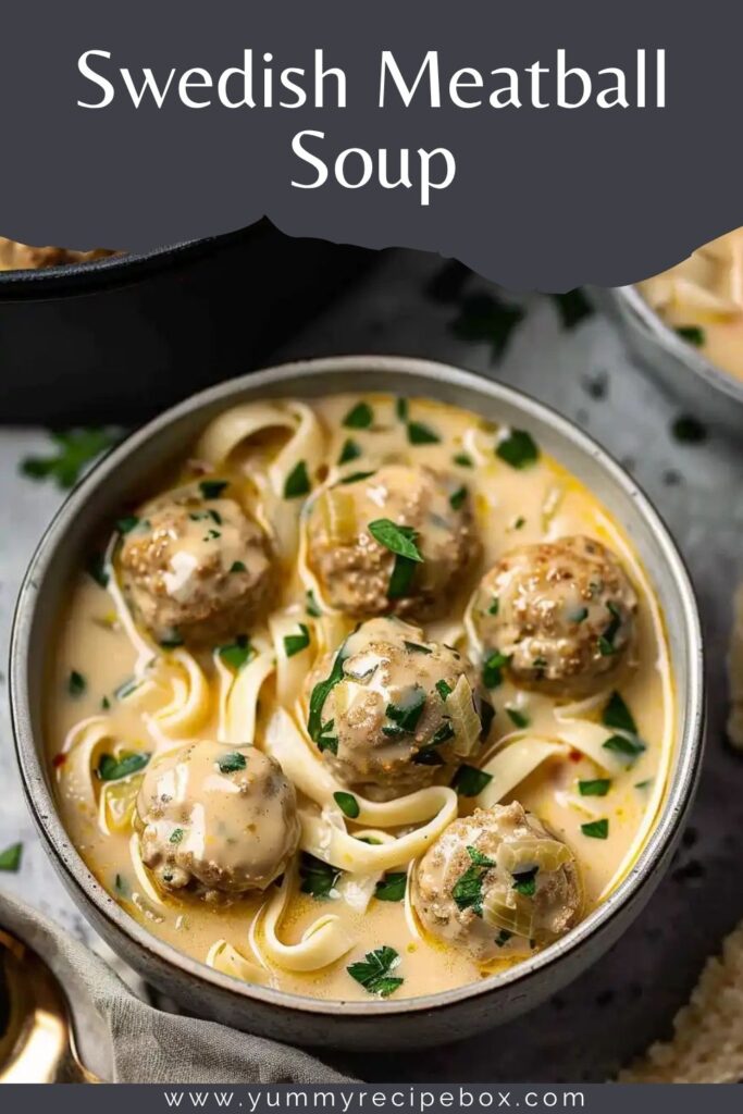 Swedish Meatball Soup
